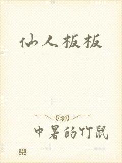 仙人板板