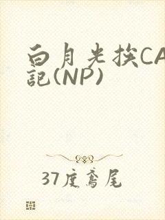 白月光挨CAO记(NP)