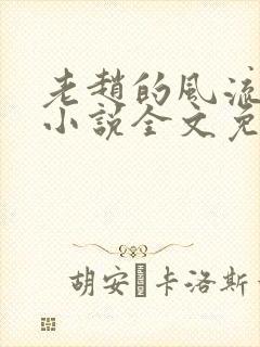 老赵的风流人生小说全文免费阅读