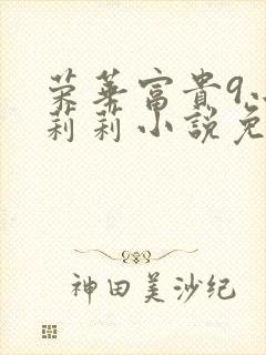 荣华富贵9小王莉莉小说免费阅读