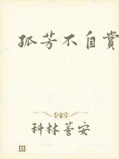 孤芳不自赏小说