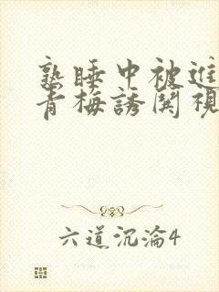 熟睡中被进了H青梅诱哄视频