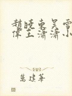 赵晓东吴雪晴郑伟王潇潇小说名字