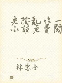 光阴乱作一团的小说免费阅读