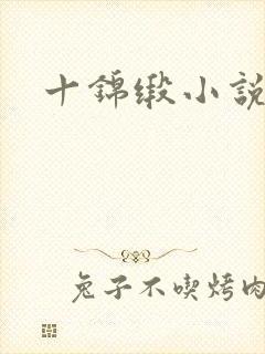 十锦缎小说
