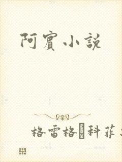 阿宾小说