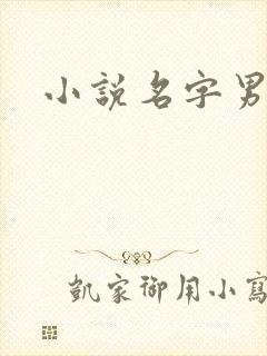小说名字男生