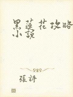 黑莲花攻略手册小说