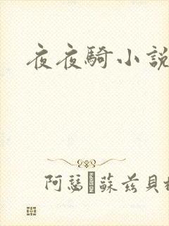 夜夜骑小说