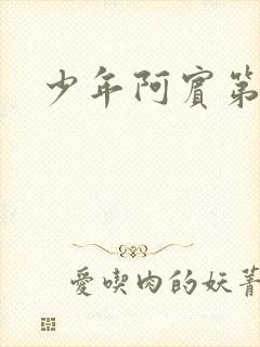 少年阿宾第二部