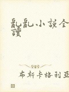 乱乱小说全文阅读