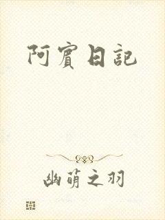 阿宾日记