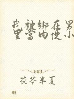 我被绑在男公厕里当肉便小说