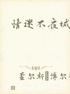 情迷不夜城