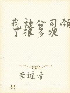 我被公司领导C了很多次