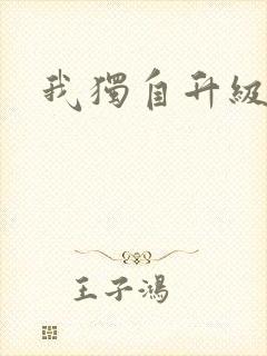 我独自升级小说