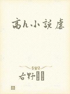 高h小说虐