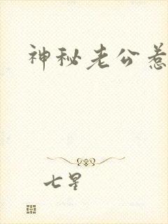 神秘老公惹不起