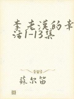 李老汉的幸福生活1-13集
