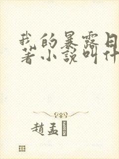 我的暴露日记原著小说叫什么