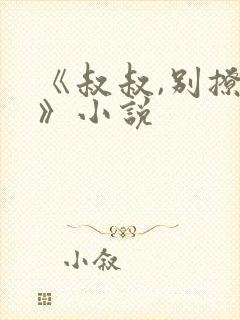 《叔叔,别撩我》小说