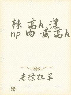 辣 高h 浓 np 肉 黄高h