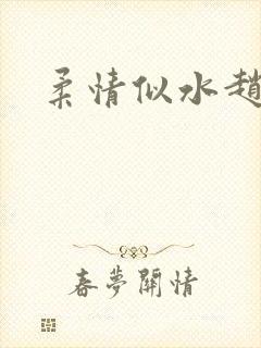 柔情似水赵雅儿