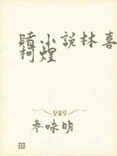 赌小说林喜朝和柯煜