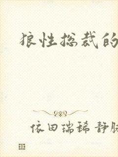 狼性总裁的尤物