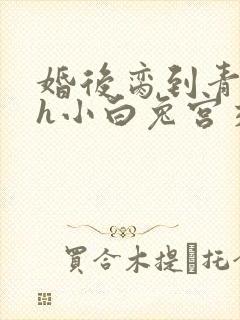 婚后脔到青梅哭h小白兔宫交h