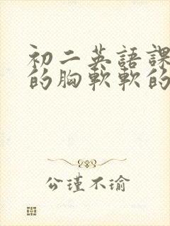 初二英语课代表的胸软软的