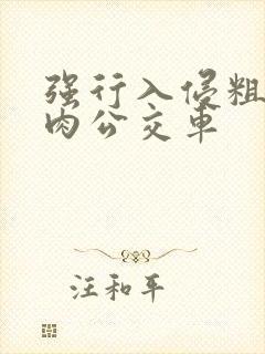 强行入侵粗暴h肉公交车