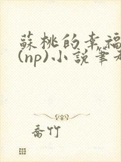 苏桃的幸福生活(np)小说笔趣阁沐沐