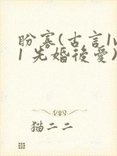 盼寡(古言1v1 先婚后爱)荔枝好多