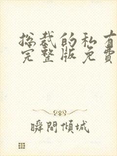 总裁的私有宝贝完整版免费阅读