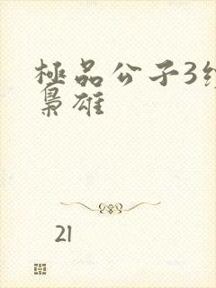 极品公子3续世枭雄