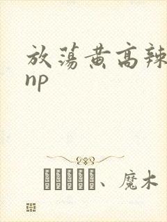 放荡黄高辣h文np