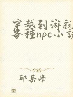 穿越到游戏里和各种npc小说