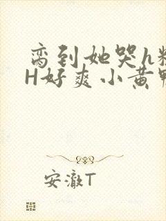 脔到她哭h粗话H好爽小黄鸭视频