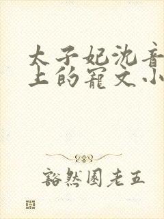 太子妃沈音和皇上的宠文小说