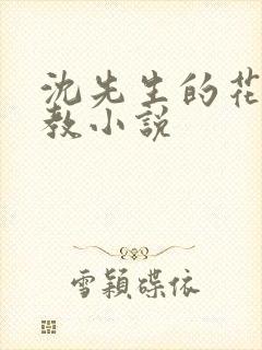 沈先生的花式管教小说