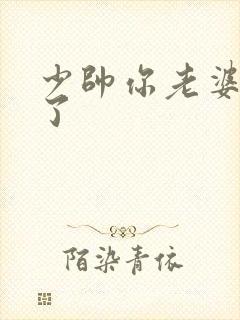 少帅你老婆又跑了