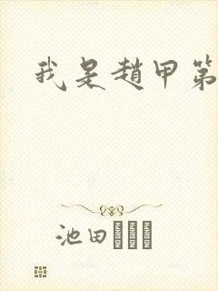 我是赵甲第小说