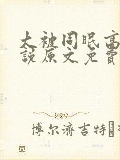 大被同眠高粱小说原文免费阅读