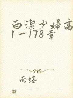 白洁少妇高义第1一178章