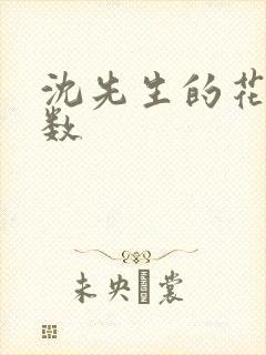 沈先生的花式调数