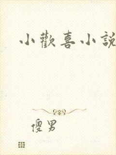 小欢喜小说
