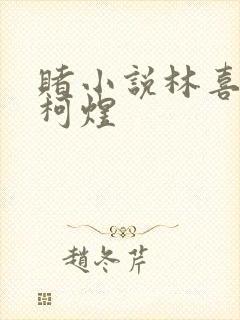 赌小说林喜朝和柯煜