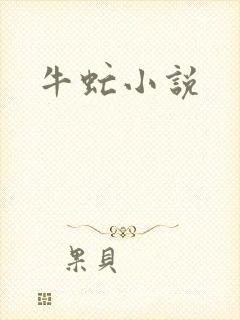 牛虻小说
