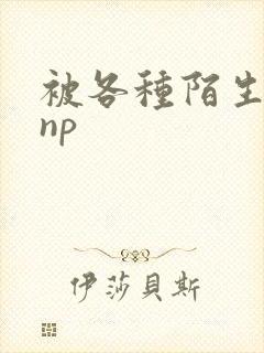 被各种陌生人 np